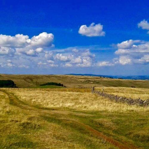 Coup de coeur : Aubrac, le goût de l’absolu